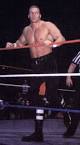 File:Hunter Hearst Helmsley in 1996 (2).jpg - Wikipedia, the free ...