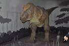 a T. rex in the dinosaur - via Daymix