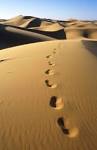 Sand and the Science of Granularity | Living Ethics