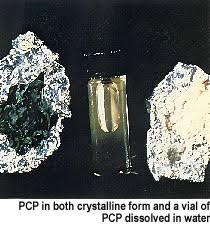 . Phencyclidine (PCP), or commonly initialized as PCP, 