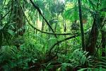 Welcome to the Jungle « Up's and Down's of Bipolar II