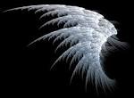 WING