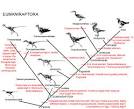 Biology | Pearltrees