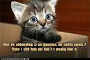 Cats are smart enough to know what works Way of Cats blog
