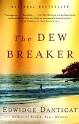 First Readings 2010: The Dew Breaker