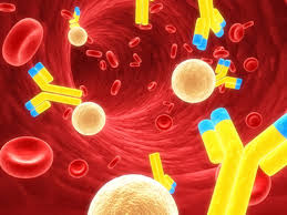 Brentuximab Vedotin