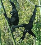 external image images?q=tbn:ANd9GcS7RjGxJTg_P6cUqD7fyzsoLVY8CXZB3xizFdspQ5geE6a4RCtNJdmH232YyA