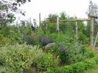 Travel Gate Sweden » Eco-