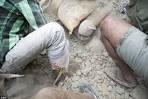 The quake that killed in four countries: 1,900 people dead after.