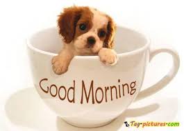 images?q=tbn:ANd9GcS7YhSWOKpXeNGkOQevhuzgLE1stbcBysuNUu9OKi9Kwn35dNwXYA