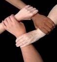Cultural Diversity | Provisions