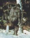 What's Up SASQUATCH Saturday!