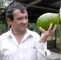 Ivan Flores with calabash fruit. He still knew of one woman near the town of ... - IvanFlores