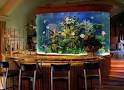 What Recession  Buy of the Day     In Home Aquarium