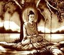 Muddy Water Zen: Bodhi Day (Thursday, Dec. 8, 2011)