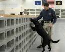 ATF Online - Explosives - Programs - Accelerant and Explosives ...