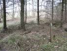 Lots of habitat edges and clearings too. - via Daymix