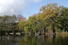 Island Pool in Baggeridge Country Park near Sedgley - via Daymix