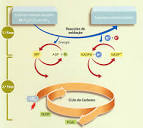 dos <b>compostos inorgânicos</b>