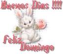 Frases De Feliz Domingo