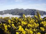 Highest Mountains of Madeira - via Daymix