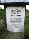 2006 tested positive for algal toxins and a warning that they should not - via Daymix