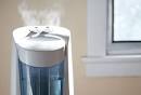 Nasal Allergy Relief Products Slideshow  Air Purifiers Bedding