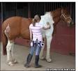 Girls Horse Club Blog Guest Bloggers Horse Advice » How to Groom a ...