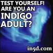 Test Yourself! Indigo Adult Characteristics | in5d.com | Esoteric