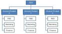Organizational Structures