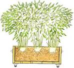 http://blog.oregonlive.com/hg_impact/2009/06/bamboo-box.JPG