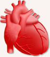Medical Lecture Notes: Cardiology Lecture Notes (