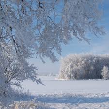 Winter im Vorharz - Bild \u0026amp; Foto von Janine Hildebrandt aus Harz in ... - Winter-im-Vorharz-a19874399