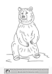 Grizzly Bear coloring page