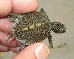 Diamondback TERRAPIN World :: Hybrid