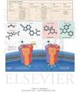 GABAA Receptor Complex and Sedative-Hypnotic Drugs - Netter ...