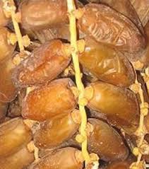 Deglet Nour et autres dattes