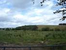 of old pit "Bing", Carluke - via Daymix