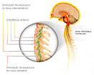 de <b>Cervicalgia</b> devemos ter