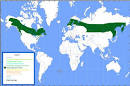 The Boreal Forest Biome