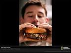 Photo: Man <b>eating</b> burger