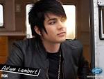 American Idol Adam Lambert