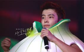 super junior donghae
