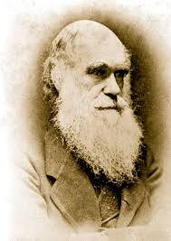 ჩარლზ დარვინ - Charls Darwin