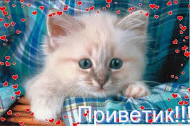 http://t1.gstatic.com/images?q=tbn:ANd9GcSBFwbAyU0zoKF2HWkj8WL-BlXntLyoUQJIIo9qJZ9gIx4Iwrbwdg