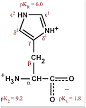Amino Acids - Histidine