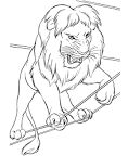 Circus Animals coloring page