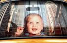 MOVIE DOWNLOADS for FREE: BABY'S DAY OUT