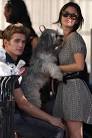 LustHunt » Rachel Bilson