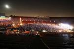electric daisy carnival